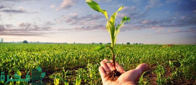 تردد قناة مصر الزراعية الجديد 2026 misr alzeraya 2 تردد قناة مصر الزراعية