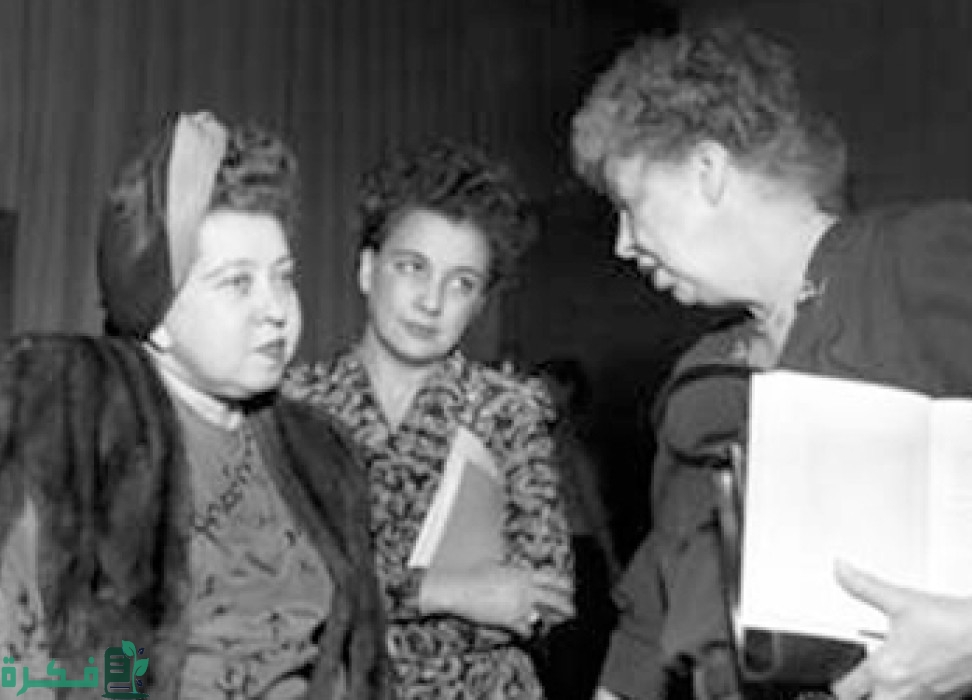 بنود حقوق المرأة في الإعلان العالمي لحقوق الإنسان 2 حقوق المرأة في الإعلان العالمي لحقوق الإنسان