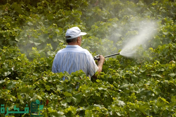 دراسة جدوى مشروع أسمدة ومبيدات