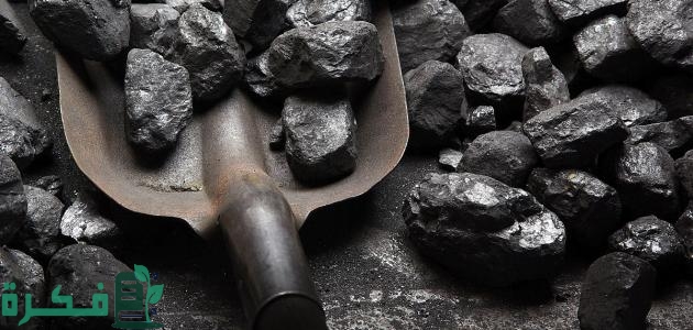 ما الفرق بين الفحم الحجري والفحم النباتي