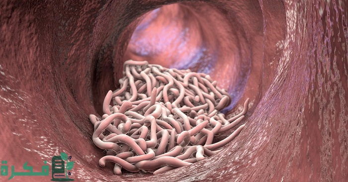 ما هو العلاج الفعال للقضاء على الديدان عند الأطفال؟