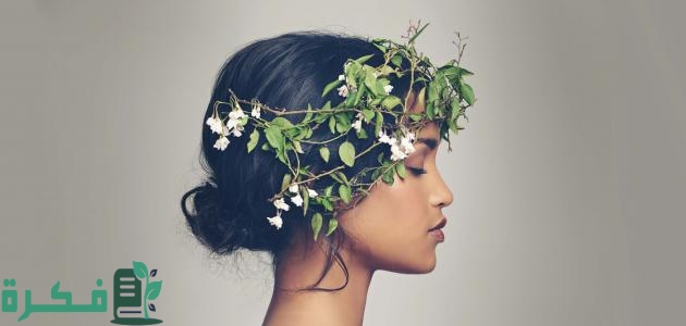 معايير الجمال في مصر