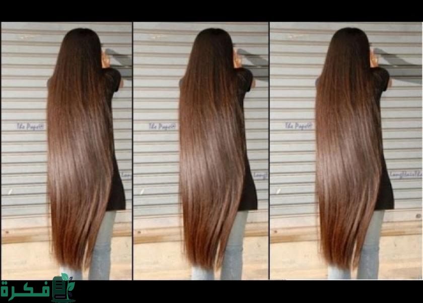 14441046611565820261