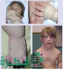 4F89AB57 2111 48E3 8ED1 E7B66E352179