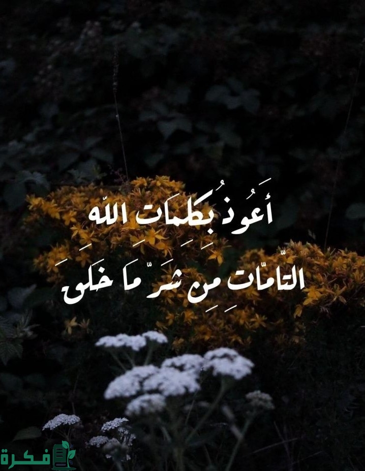 دعاء أعوذ بكلمات الله التامات من شر ما خلق