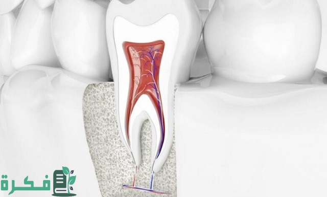 أفضل 5 أنواع مضاد حيوي لالتهاب عصب الأسنان