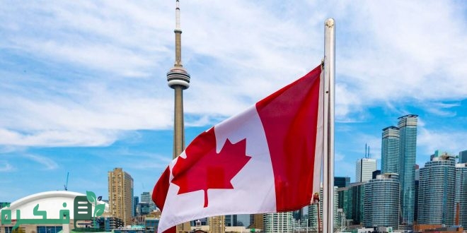 97D5B081 9DBA 494A 8CBC 3A8C874DB4EF