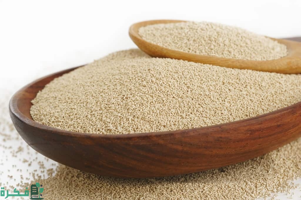 Use beer yeast in breast growth