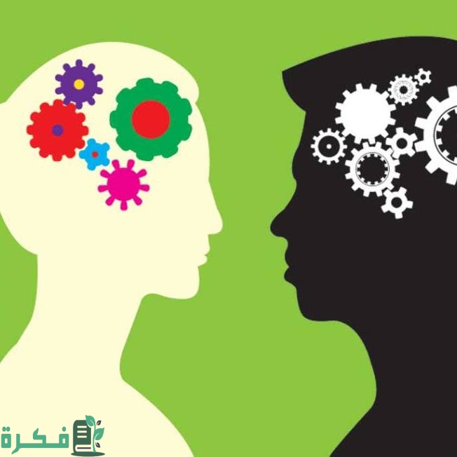 عقل الرجل صناديق وعقل المرأة شبكة 4 f2407b60 4aef 4e48 9870 0ce7e0476bb3