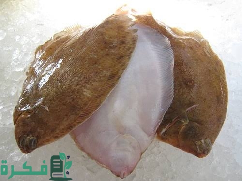 images 2023 02 15T144635.278