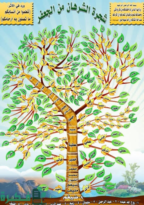 images 2023 02 21T225442.437