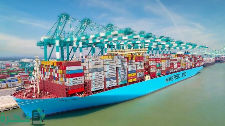 images 2023 02 28T213102.780