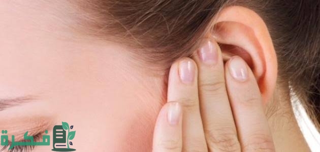 inbound6384300277738240450