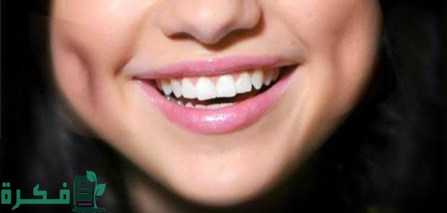 inbound8178413324904369598