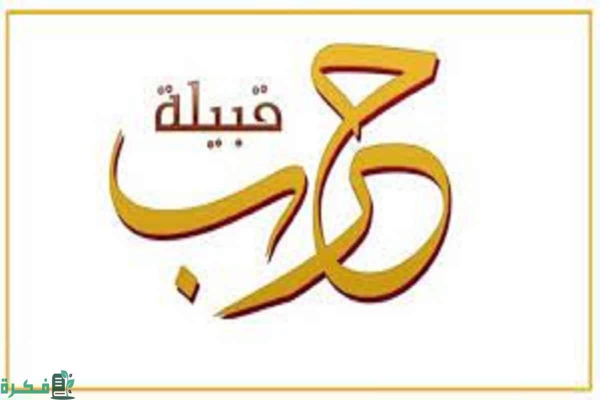 اصل قبيلة حرب ونسبها