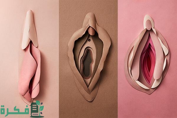 أسباب اسمرار الشفرتين الصغيرتين