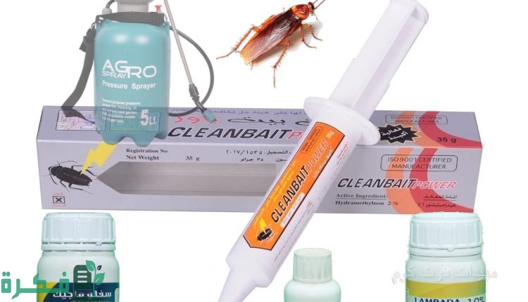 أماكن انتشار الصراصير