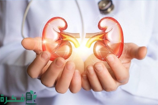 أفضل 5 مشروبات لعلاج أملاح الكلى