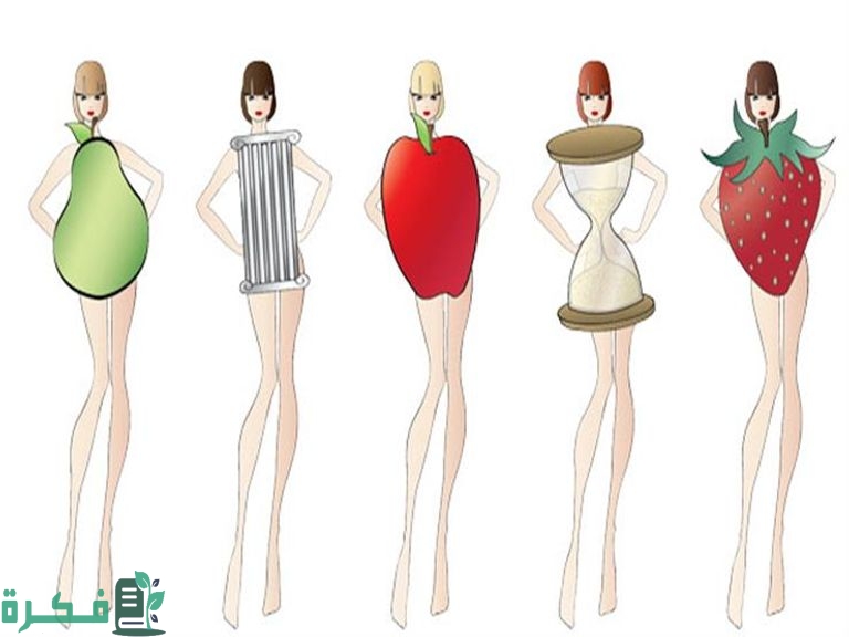 شرح خطوات تحويل الجسم من تفاحة إلى كمثري 6 تحويل الجسم من تفاحة إلى كمثري