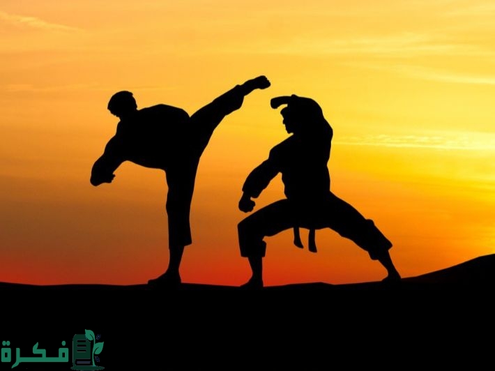 تعلم الكونغ فو للمبتدئين في المنزل