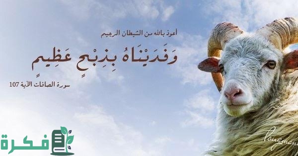 في أي سورة وردت قصة ذبح إسماعيل 5 في أي سورة وردت قصة ذبح إسماعيل