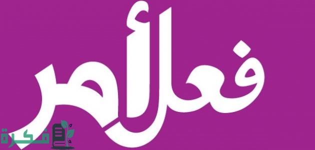 ما هو فعل الأمر