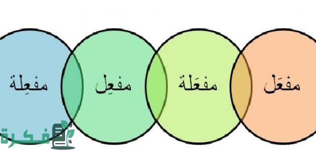 ما هو مصدر الفعل