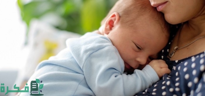 معلومات وحقائق عن الأم