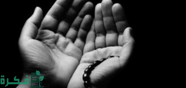 04C835DE D050 49A1 84FA 12D30888E1FF