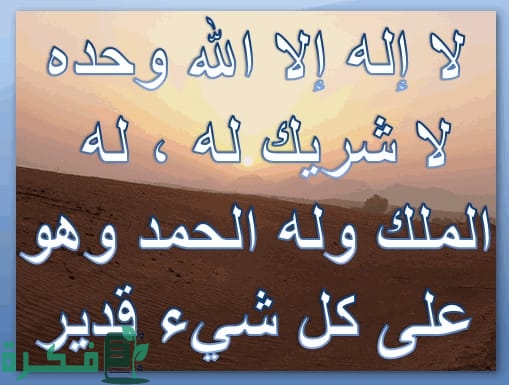 5D5802C8 175D 4C2B BF6D 56EE5374A4AD