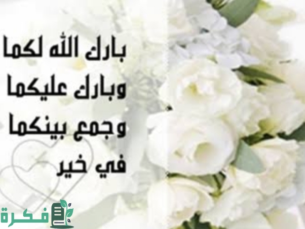 73233473 4F58 45B9 9541 98C2C72772C7