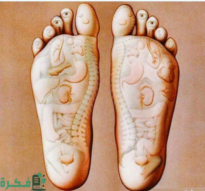 A7BF1FC9 1A4F 400E 94F1 2FDA50A23EE7