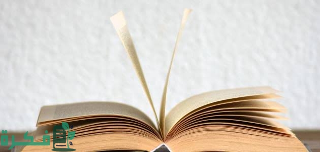 DC1F133D E257 4CB7 8473 1954AA60E855