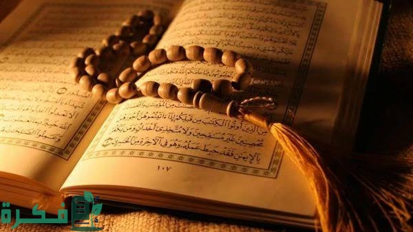 ECECED91 6769 4181 99CC 7DEF0C3831C2