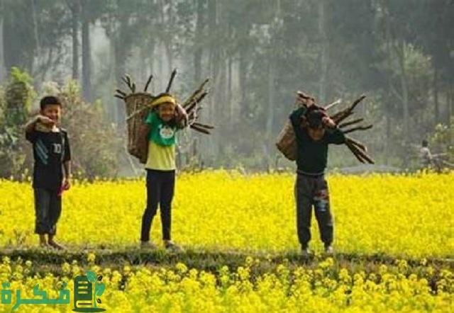 موضوع تعبير عن الريف