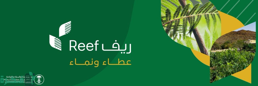 التسجيل في برنامج ريف للدعم المادي للعاطلين