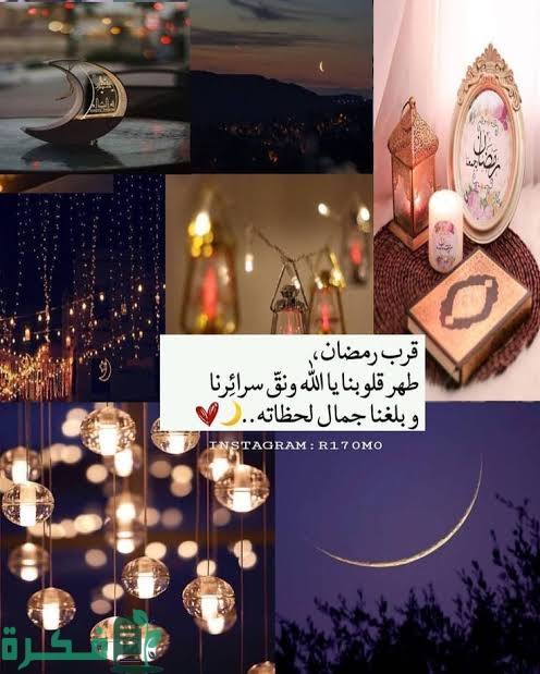 images 2023 03 09T141721.443