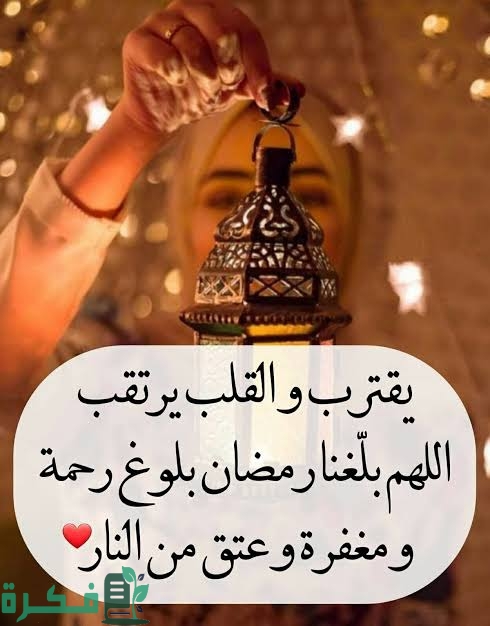 images 2023 03 23T143916.647