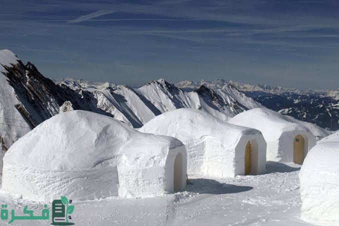 images 2023 03 26T222309.975