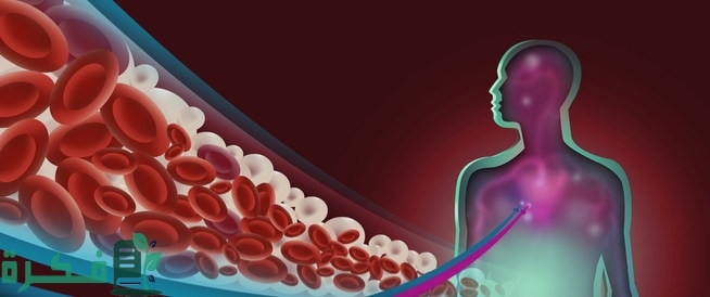 أسماء افضل 5 أدوية علاج الدهون الثلاثية 17 أفضل 5 أدوية علاج الدهون الثلاثية