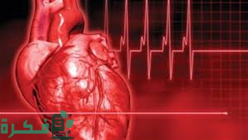 أفضل 5 أطباء القلب في العالم