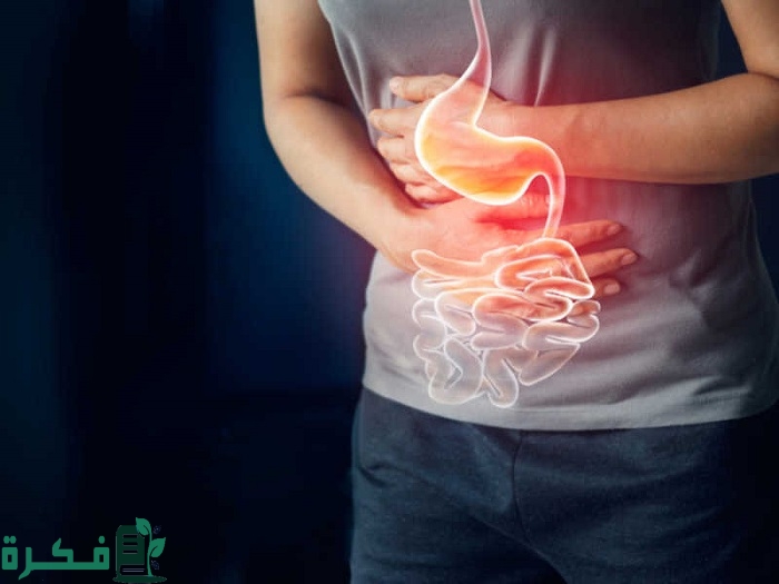 أفضل 5 أطعمة تساعد على علاج التهاب المعدة