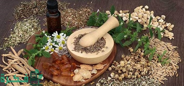 أفضل 5 أعشاب تساعد على تحسين جودة البويضات