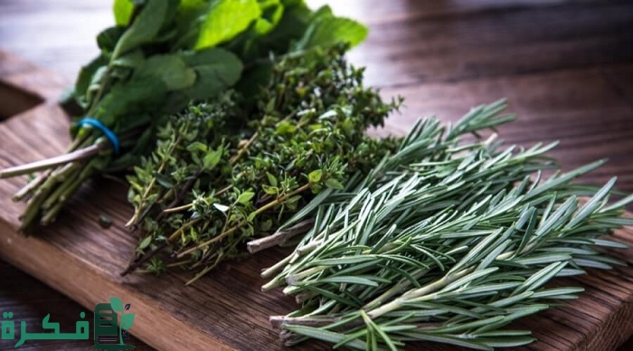 أفضل 5 أعشاب لعلاج الإمساك