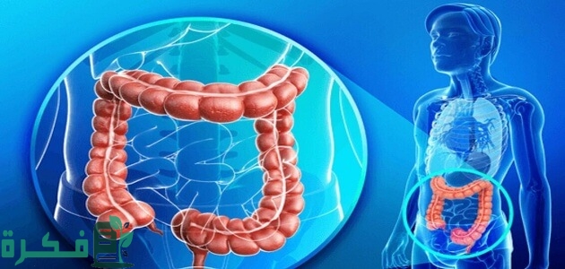 أفضل 5 حبوب تنظيف البطن من الصيدلية