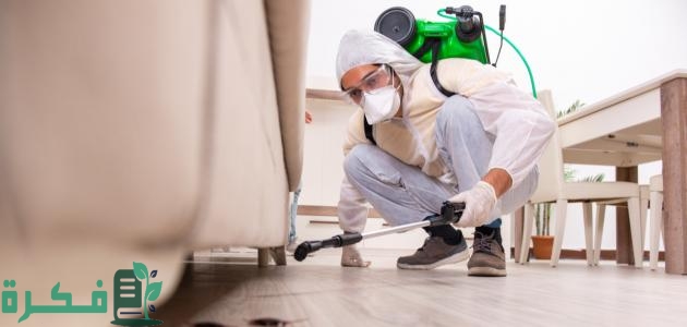 افضل 5 طرق القضاء على البراغيث 4 أفضل 5 طرق القضاء على البراغيث