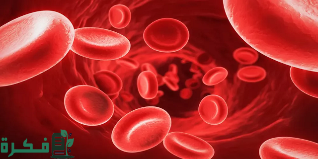 أفضل 5 كبسولات لعلاج الأنيميا وفقر الدم