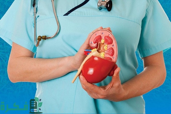 أفضل 5 مشروبات لتفتيت حصوات الحالب