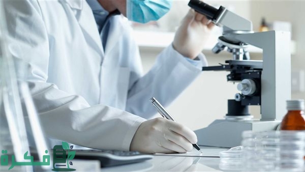 أفضل 5 معامل تحاليل بالإسكندرية