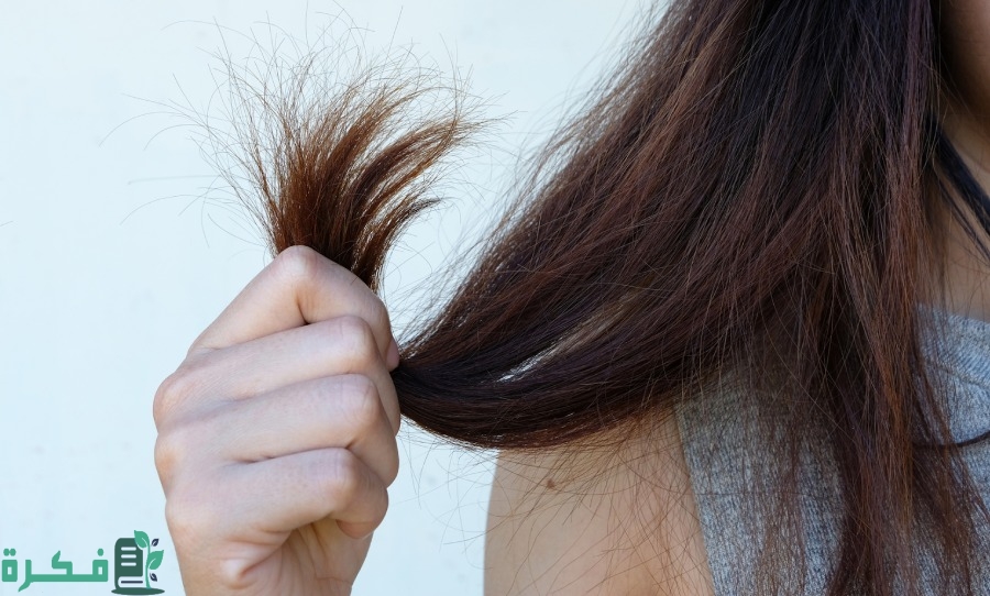 أفضل منتجات العناية بالشعر التالف